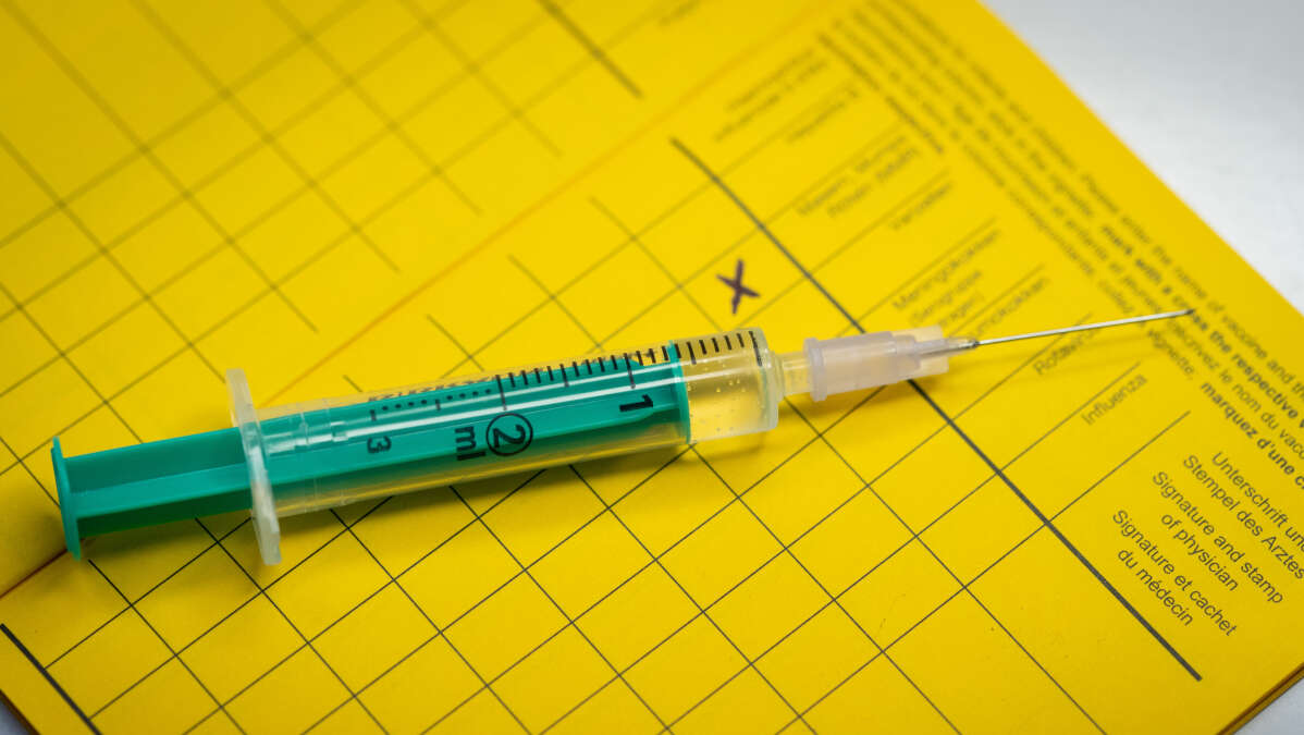Pneumokokken Impfung Wie Oft Ab 60 www.nwzonline.de