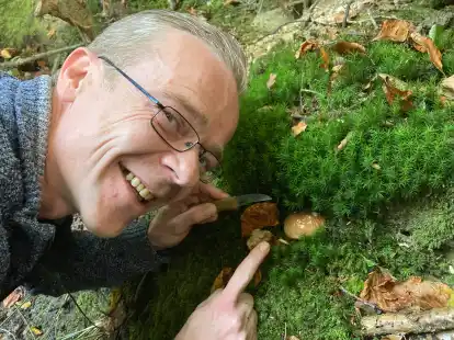 Paul M&ouml;ller (45) entdeckt inmitten einer Torfmoosdecke einen Steinpilz. Dieser Fund z&auml;hlt bereits als sehr erfolgreiche Ausbeute.