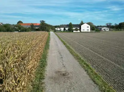 Ein Feldweg in Naarn.
