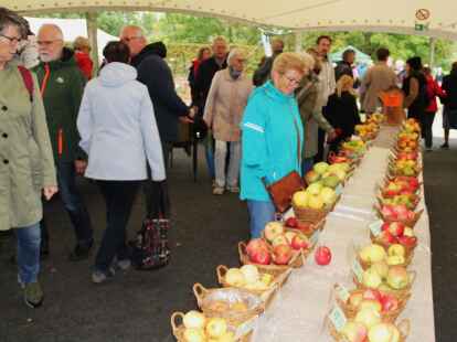 53+ Park Der Gärten Herbstmarkt, Park der gärten, elmendorfer str.