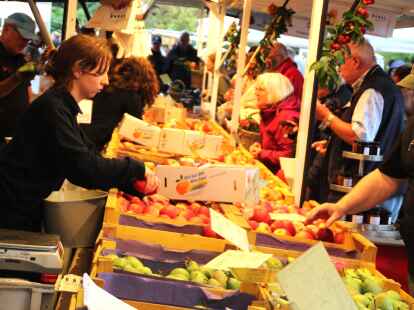 Bad Zwischenahn Herbstmarkt im Park der Gärten
