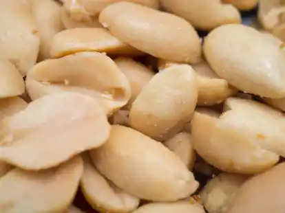 Erdn&uuml;sse im Flieger k&ouml;nnen f&uuml;r Allergikerinnen und Allergikern ein Problem sein.