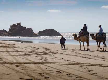 Kamelreiten am Strand: Tiersch&uuml;tzer sehen solche Angebote kritisch.