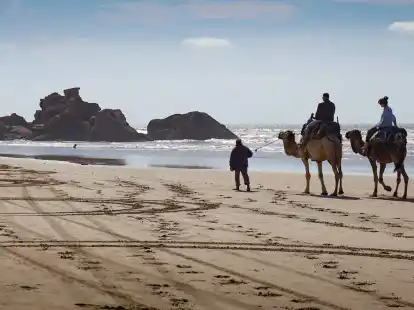 Kamelreiten am Strand: Tiersch&uuml;tzer sehen solche Angebote kritisch.