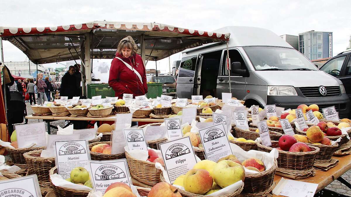 Alte Apfelsorten und süßes Kürbisbrot aus dem Ofen