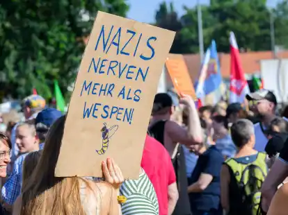 Demonstranten bei einer Demonstration gegen den Landesparteitag der AfD Niedersachsen in der Congress Union Celle.