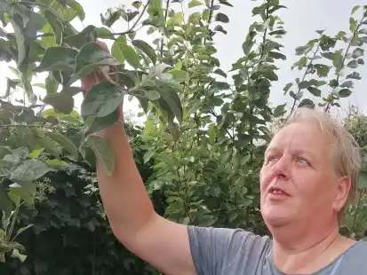 Betrachtet ein ungewöhnliches Naturschauspiel in ihrem Garten: Der junge Apfelbaum von Hobby-Gärtnerin Johanna Kimsas bildet in diesem Jahr zum zweiten Mal Blüten.