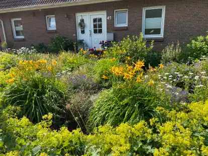 Beim Wettbewerb &bdquo;Mit Herz und Harke&ldquo; der Stadt Emden beeindruckte Rudolf Meiners aus dem Stadtteil Constantia mit dieser pr&auml;chtigen Stauden-Vielfalt in der Kategorie Vorg&auml;rten.