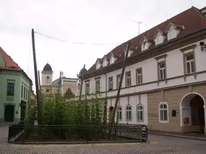 Selbst mitten in Zatec w&auml;chst ein kleines Hopfenfeld (Archivbild).