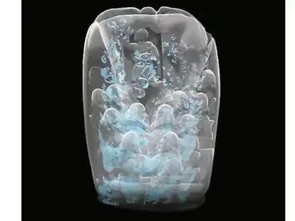 Das Digitalisat einer Walzahnskulptur.