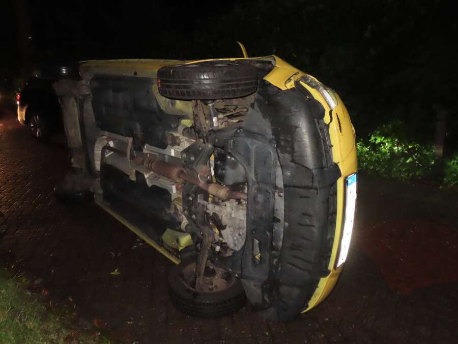 Unfall in Bad Zwischenahn Autofahrerin wollte Tier ausweichen und