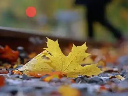 Farbenfroh - aber auch rekordverd&auml;chtig bei&nbsp;Niederschl&auml;gen und Temperaturen: So l&auml;sst sich der Oktober in Deutschland zusammenfassen.