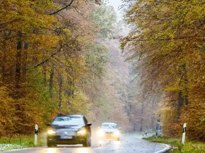 Im Herbst k&ouml;nnen nasses Laub und Ernteschmutz f&uuml;r rutschige Stra&szlig;en sorgen - also besser Tempo reduzieren und mehr Abstand halten.