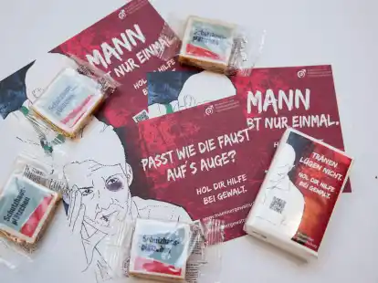 Info-Flyer bei der Vorstellung der Nutzungsstatistik der M&auml;nnergewaltschutzeinrichtungen in Deutschland.