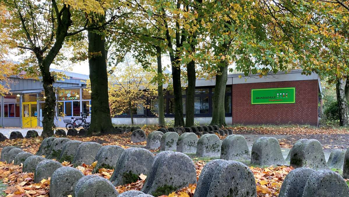 Die 10 Besten Orthopäden Im Landkreis Cloppenburg Steigende Schülerzahlen in Cloppenburg: Schulbezirke in Cloppenburg