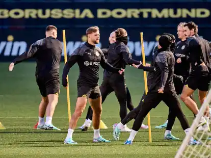 Borussia Dortmund trifft in der Champions League auf Newcastle United.