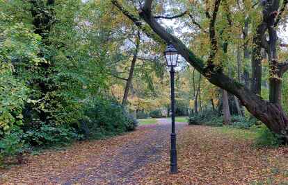 Sauberkeit und Vandalismus in Wilhelmshaven Skulpturen am Friedrich