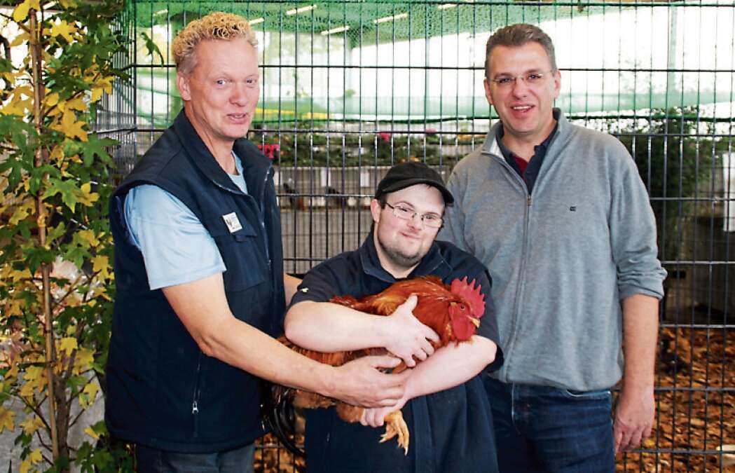 Geflügelschau in Westerstede Züchter tragen auch zum Erhalt seltener