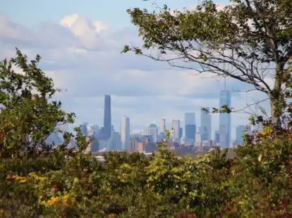 Die Skyline von Manhattan, im Vordergrund das Naturschutzgebiet Jamaica Bay Wildlife Refuge.
