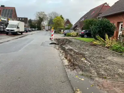 Noch kein Hingucker: Die Bl&uuml;hstreifen im Addinggaster Weg in S&uuml;derneuland sind teils von Autofahrern zum Ausweichen genutzt worden.