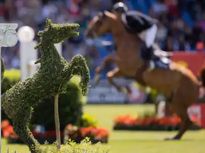 Aachen erh&auml;lt den Zuschlag f&uuml;r die Reit-WM 2026.