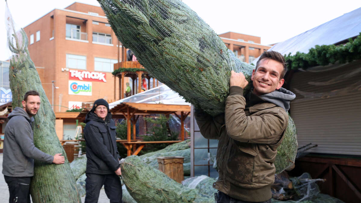 Weihnachtsmarkt in Wilhelmshaven Glühwein, Leckereien und Kunsthandwerk