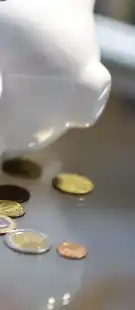 Die Haushaltssituation ist auch im Wangerland angespannt: Ein freiwilliges Konsolidierungskonzept, das moderate Steuererh&ouml;hungen beinhaltet, ist j&uuml;ngst im Finanzausschuss vorgestellt worden.