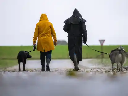 Bei Wind und Wetter mit dem geliebten Vierbeiner Gassi gehen: Die Hundesteuer soll in der Gemeinde Ganderkesee nach 20 Jahren erstmals erh&ouml;ht werden &ndash; deutlich.  Dagegen regt sich Widerstand in ungewohnter Form (Symbolbild).