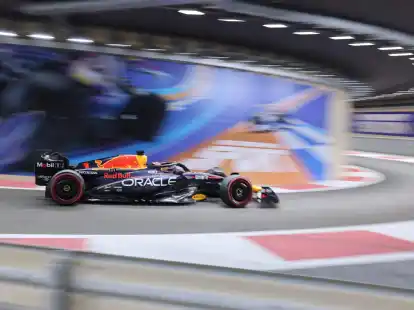 Startet in Abu Dhabi von Platz eins: Max Verstappen.