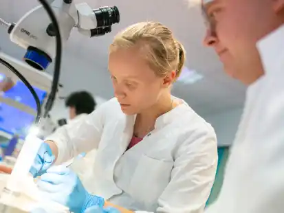 Studierende der Uni-Medizin Oldenburg (UMO): Die Mehrheit der Absolventen bleibt laut Umfrage dem Nordwesten verbunden.