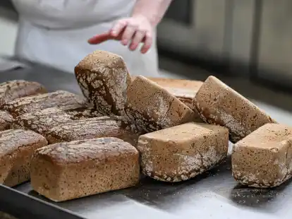 Vollkornbrote frisch aus dem Ofen.