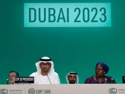 Sultan Al-Dschaber, Vorsitzender der UN-Klimakonferenz, bei der Er&ouml;ffnungssitzung in Dubai.