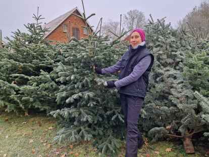 Hat jede der 222 Nordmanntannen persönlich ausgesucht: Daniela Mertsch startet den Weihnachtsbaumverkauf auf ihrem Hof am ersten Advent.