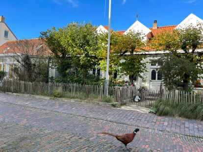 Vier Wochen auf Norderney: Auch im November zeigte sich die Insel von ihrer sch&ouml;nsten Seite.