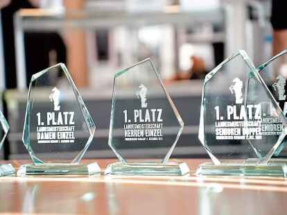 Die Landesmeister durften sich &uuml;ber besondere Pokale freuen.