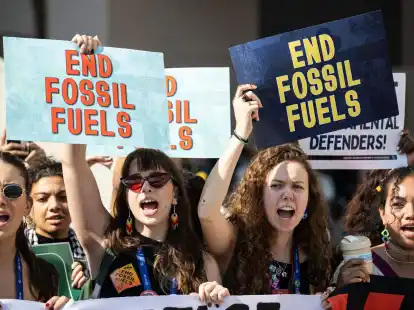 Klimaaktivistinnen in Dubai.