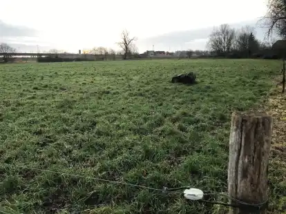 Still ruht die Wiese: vorgesehener neuer Lidl-Standort in Wolthusen.