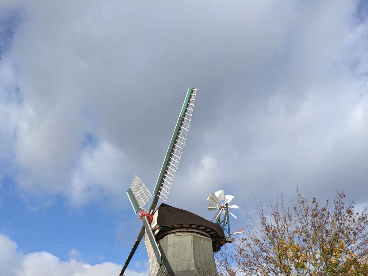 Historische Mühle in Wilhelmshaven muss dringend saniert werden