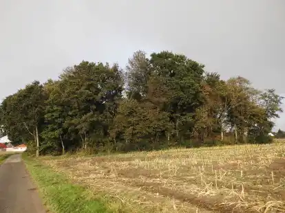 Utarper B&ouml;rg von Osten aus aufgenommen.