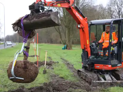 An der Friedrich-Paffrath-Stra&szlig;e haben die Pflanzarbeiten von 80 Blumeneschen begonnen, die im Bereich Am Wiesenhof in die Erde gesetzt werden.