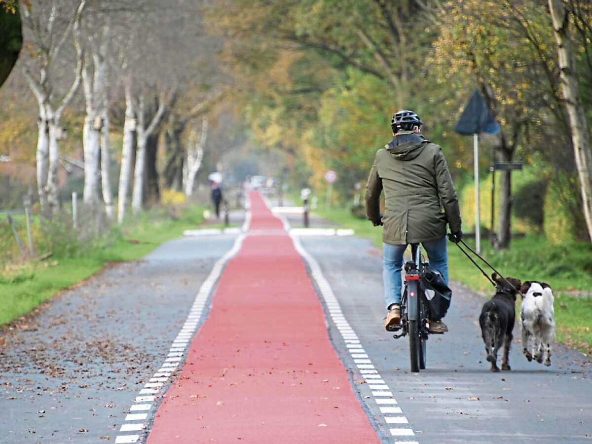 Fahrradstraße zwischen Bad Zwischenahn und Oldenburg Teilstück wird freigegeben
