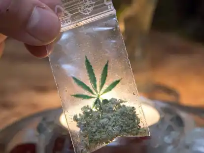 Die Niederlande starten ein Experiment mit dem Handel von legal angebautem Marihuana.