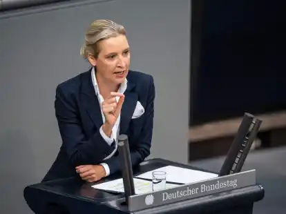 Die Universit&auml;t Bayreuth pr&uuml;ft einen Plagiatsverdacht gegen AfD-Chefin Alice Weidel.