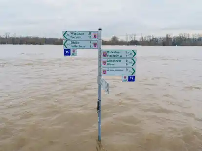 Der Radweg mit Beschilderung am Rheinufer im Ortsteil Mittelheim (Oestrich-Winkel) steht komplett unter Wasser.