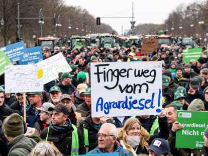 Plakate (Fabian Sommer/dpa)