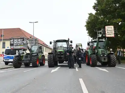 Es ist nicht das erste Mal, dass Landwirte in Oldenburg demonstrieren. Hier ein Bild von Protesten aus 2019 am Pferdemarkt.