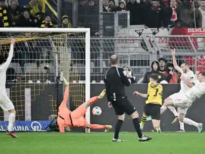Sepp Van Den Berg (r) erzielte den Mainzer Ausgleich in Dortmund.