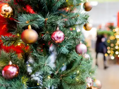 Weihnachtsb&auml;ume aus Kunststoff erfreuen sich immer gr&ouml;&szlig;erer Beliebtheit.