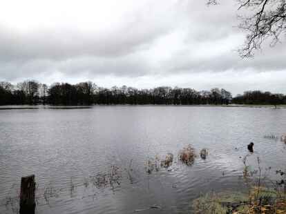 Hier wird im Sommer die Freiluftfete gefeiert: Diese &uuml;berflutete Fl&auml;che befindet sich an der Hauptstra&szlig;e in S&uuml;d-Edewecht.