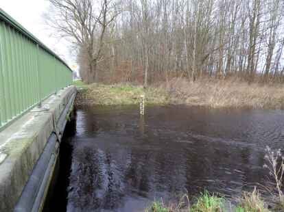 Am Bachmannsweg in Edewecht: Der Pegelstand der Vehne ist deutlich erh&ouml;ht.